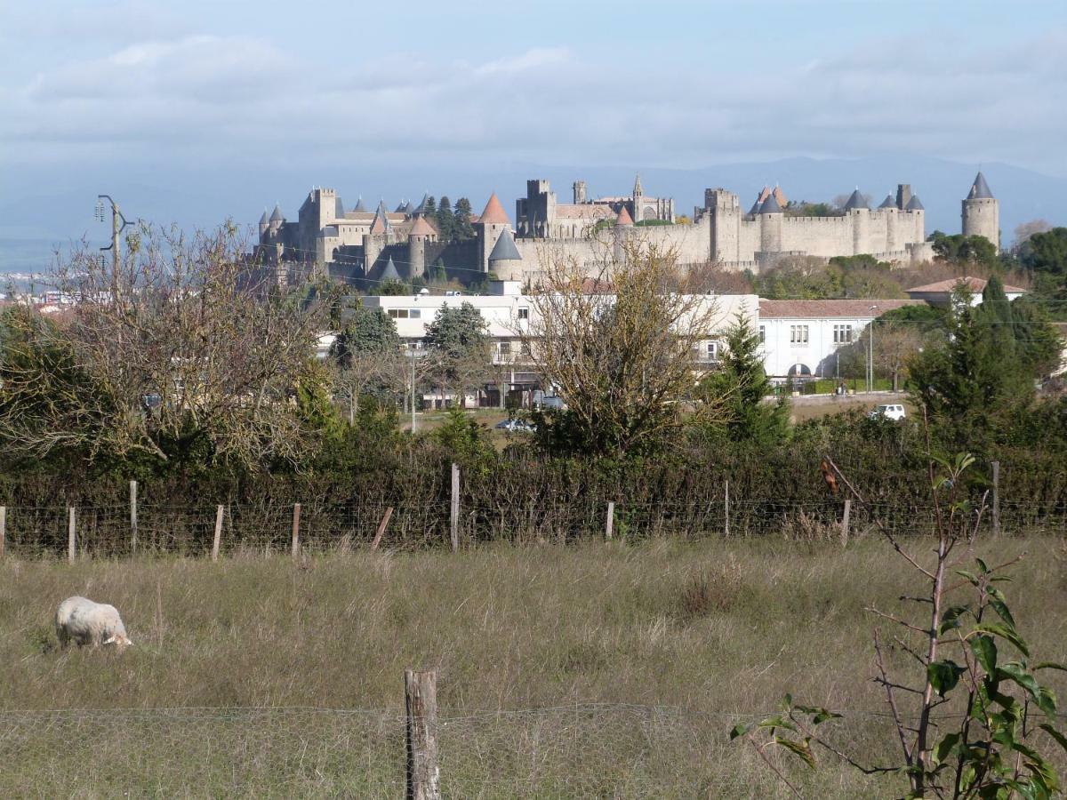 Gite Des Figuiers Carcassonne Bagian luar foto